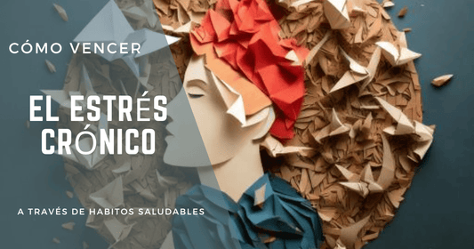 Los 4 Pilares de la Salud: Supera el Estrés Crónico con Hábitos Saludables