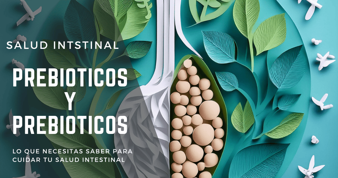 Salud Intestinal. ¿Son los Prebióticos y Probióticos Imporantes?. Lo que tienes que saber.